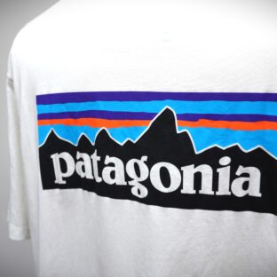 ◆Patagonia　オーガニックコットン　Tシャツ　USED　未使用に近い美品