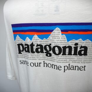 ◆Patagonia　オーガニックコットン　Tシャツ　USED　未使用に近い美品